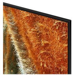 Телевізор Samsung QE55QN70FAUXUA QE55QN70FAUXUA фото