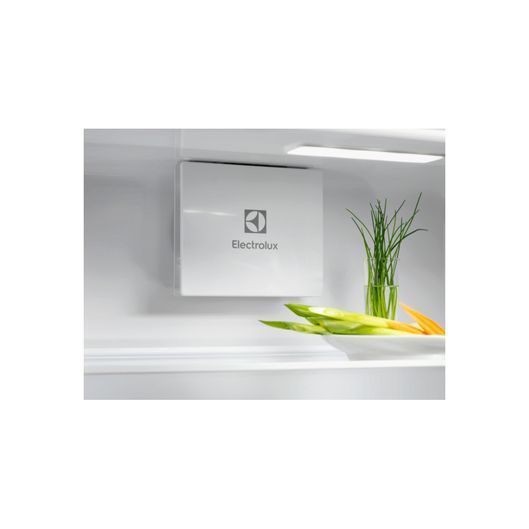 Холодильник Electrolux ERD6DE18S4 ERD6DE18S4 фото