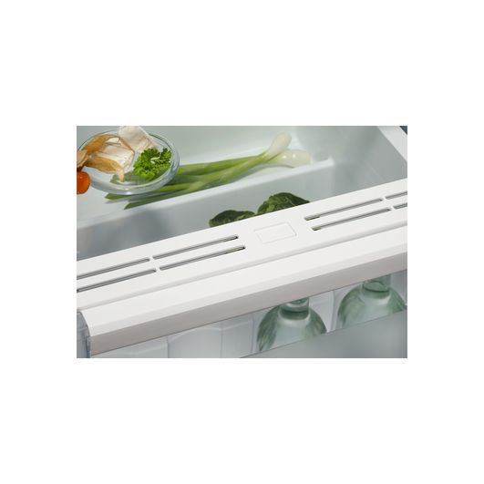 Холодильник Electrolux ERD6DE18S4 ERD6DE18S4 фото
