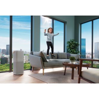 Очисник повітря Electrolux PA91-404GY PA91-404GY фото