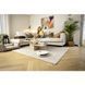 Пилосос Karcher RCV 2 (1.269-670.0) 1.269-670.0 фото 4