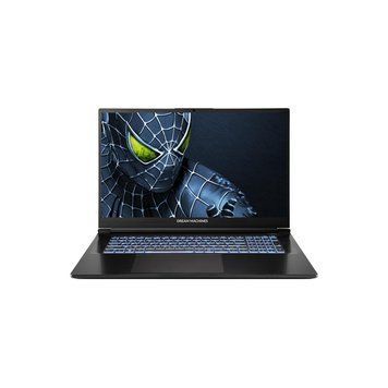 Ноутбук Dream Machines RG5050-17 (RG5050-17UA24) RG5050-17UA24 фото