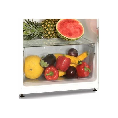 Холодильник Snaige FR24SM-PRDO0E FR24SM-PRDO0E фото