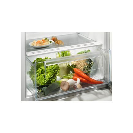 Холодильник Electrolux LRB3AE12S LRB3AE12S фото