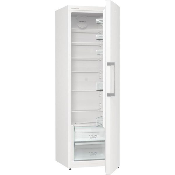 Холодильник Gorenje R619EEW5 R619EEW5 фото