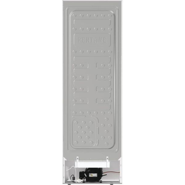 Холодильник Gorenje R619EEW5 R619EEW5 фото