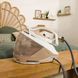 Парова станція Tefal Pro Express Eco (GV9E22E0) GV9E22E0 фото 10
