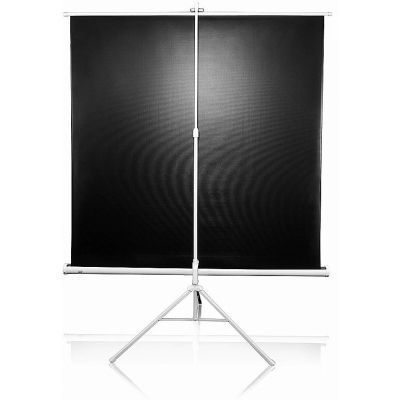 Проекційний екран T85NWS1 Elite Screens T85NWS1 фото