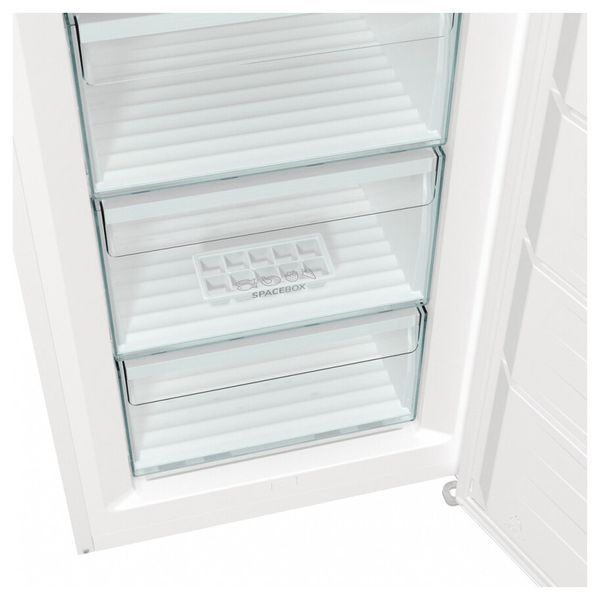 Морозильна камера Gorenje FN619EEW5 FN619EEW5 фото