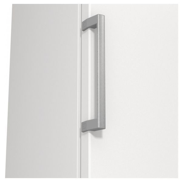Морозильна камера Gorenje FN619EEW5 FN619EEW5 фото