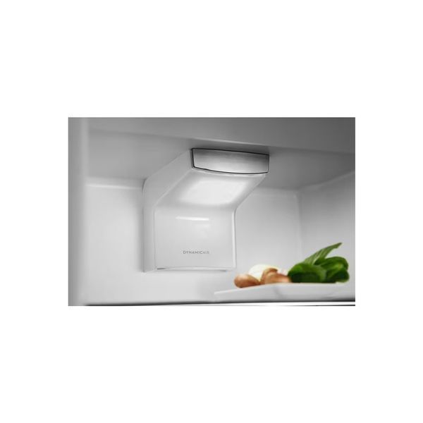 Холодильник Electrolux RNT6TE19S RNT6TE19S фото