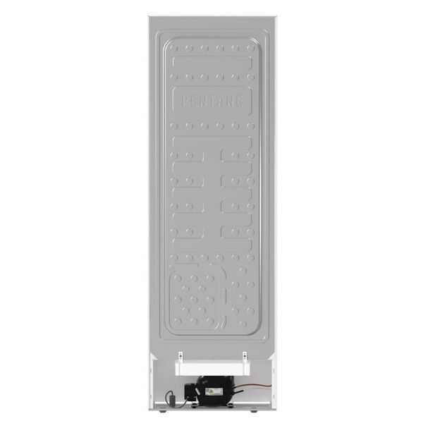 Морозильна камера Gorenje FN619EEW5 FN619EEW5 фото