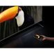 Телевізор Xiaomi TV S Mini LED 75 2025 TV S Mini LED 75 2025 фото 8
