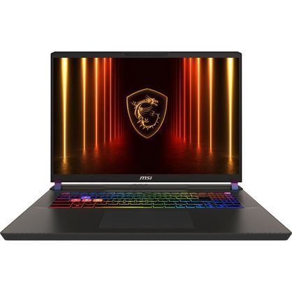 Ноутбук MSI Vector 17 HX AI A2XWIG-043UA 17" 9S7-17S372-043 9S7-17S372-043 фото