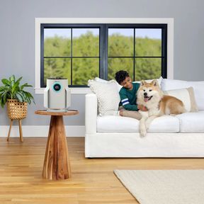 Очисник повітря Shark NeverChange5 Air Purifier Compact Pro (HP072EU) HP072EU фото
