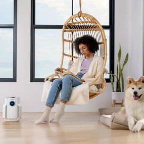 Очисник повітря Shark NeverChange5 Air Purifier Compact Pro (HP072EU) HP072EU фото