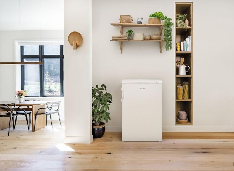 Морозильна камера GORENJE F 49 DPW 20012237 фото