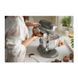 Кухонний комбайн KitchenAid 5KSM60SPXECU 5KSM60SPXECU фото 6