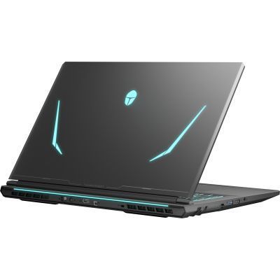 Ноутбук Thunderobot 911 X17 (911X17-i7136H56C1Q165MB) 911X17-i7136H56C1Q165MB фото