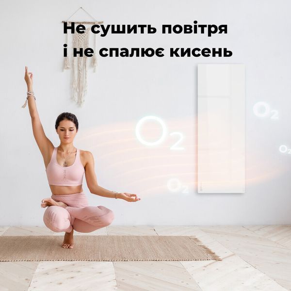 Обігрівач AENO Premium Eco Smart GH3S (AGH0003S) AGH0003S фото