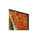 Телевізор SAMSUNG QE85QN70FAUXUA QE85QN70FAUXUA фото 5