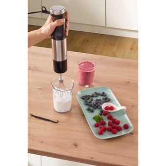 Блендер Gorenje HBX1000E HBX1000E фото
