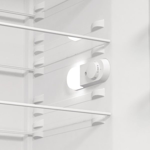Холодильник Gorenje R619EES5 R619EES5 фото